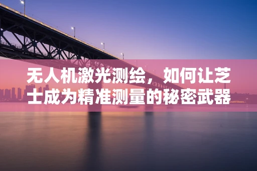 无人机激光测绘，如何让芝士成为精准测量的秘密武器？