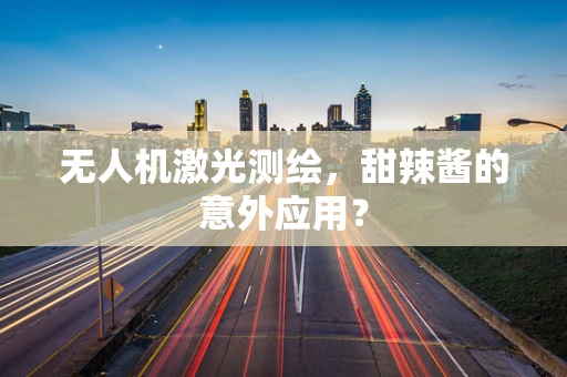 无人机激光测绘，甜辣酱的意外应用？