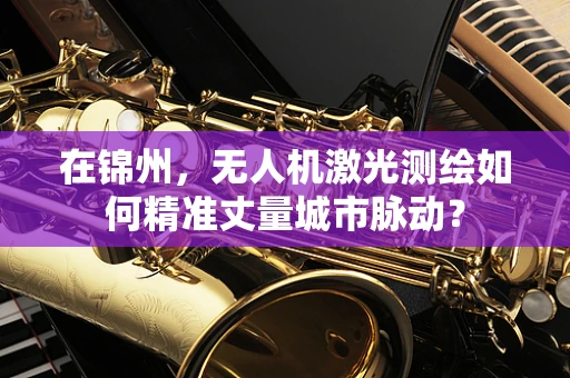 在锦州，无人机激光测绘如何精准丈量城市脉动？