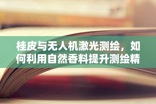 桂皮与无人机激光测绘，如何利用自然香料提升测绘精度？