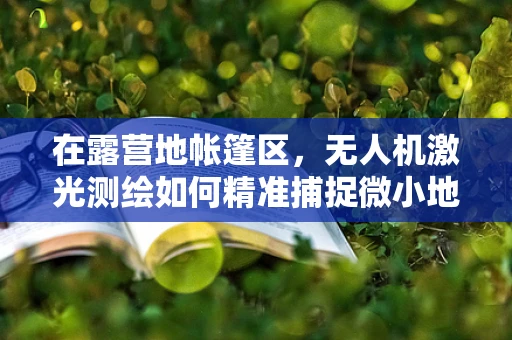 在露营地帐篷区，无人机激光测绘如何精准捕捉微小地形变化？