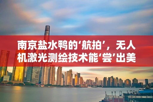 南京盐水鸭的‘航拍’，无人机激光测绘技术能‘尝’出美食的秘密吗？