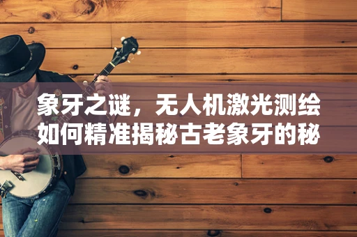 象牙之谜，无人机激光测绘如何精准揭秘古老象牙的秘密？