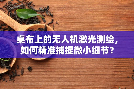 桌布上的无人机激光测绘，如何精准捕捉微小细节？