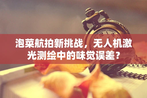 泡菜航拍新挑战，无人机激光测绘中的味觉误差？