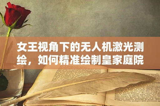 女王视角下的无人机激光测绘，如何精准绘制皇家庭院的秘密地图？