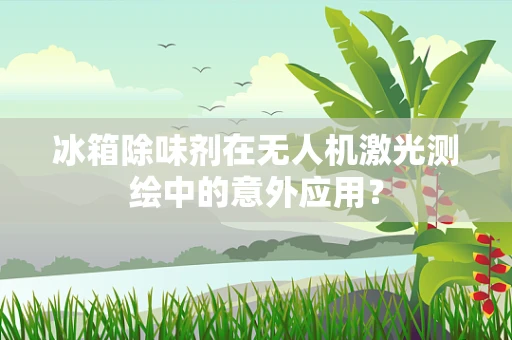 冰箱除味剂在无人机激光测绘中的意外应用？