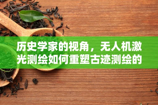 历史学家的视角，无人机激光测绘如何重塑古迹测绘的未来？