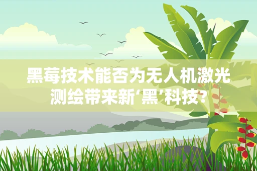 黑莓技术能否为无人机激光测绘带来新‘黑’科技？