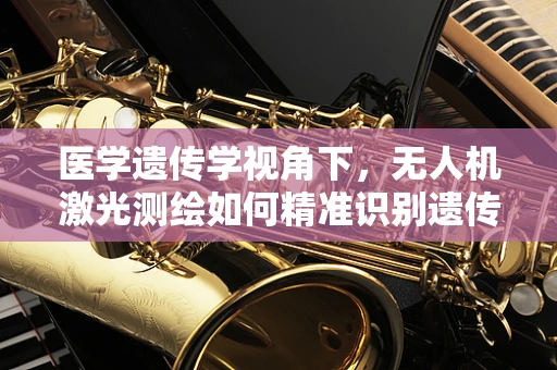 医学遗传学视角下，无人机激光测绘如何精准识别遗传病高发区域？