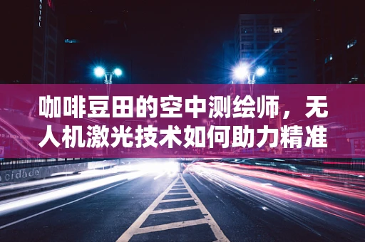 咖啡豆田的空中测绘师，无人机激光技术如何助力精准种植？