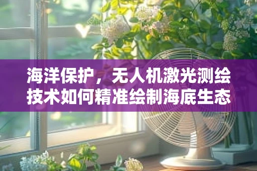 海洋保护，无人机激光测绘技术如何精准绘制海底生态图？