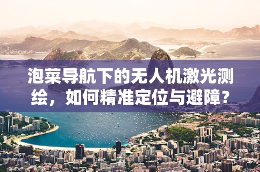 泡菜导航下的无人机激光测绘，如何精准定位与避障？