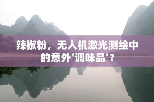 辣椒粉，无人机激光测绘中的意外‘调味品’？
