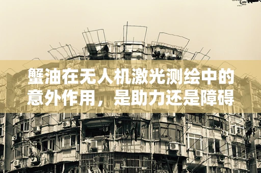 蟹油在无人机激光测绘中的意外作用，是助力还是障碍？