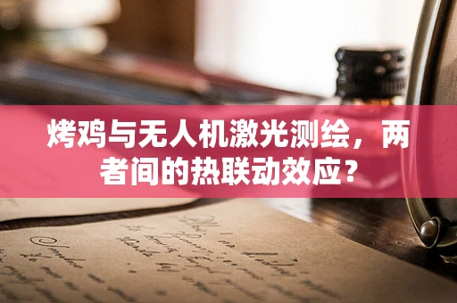 烤鸡与无人机激光测绘，两者间的热联动效应？