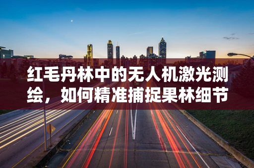 红毛丹林中的无人机激光测绘，如何精准捕捉果林细节？