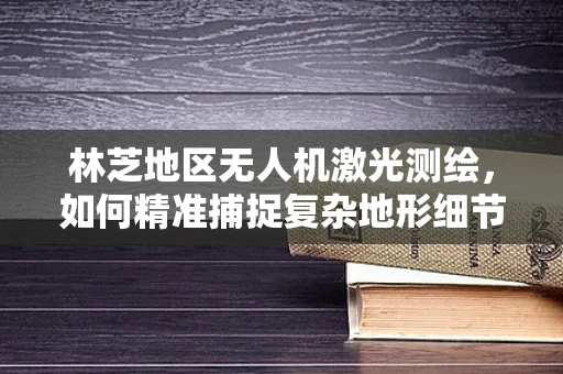 林芝地区无人机激光测绘，如何精准捕捉复杂地形细节？