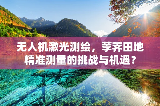 无人机激光测绘，荸荠田地精准测量的挑战与机遇？