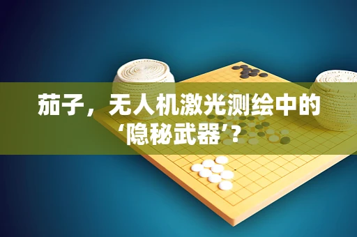 茄子，无人机激光测绘中的‘隐秘武器’？