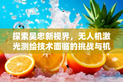 探索吴忠新视界，无人机激光测绘技术面临的挑战与机遇