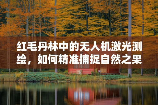 红毛丹林中的无人机激光测绘，如何精准捕捉自然之果的秘密？