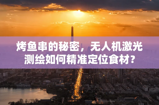 烤鱼串的秘密，无人机激光测绘如何精准定位食材？