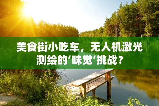 美食街小吃车，无人机激光测绘的‘味觉’挑战？