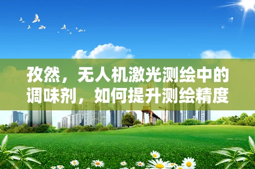 孜然，无人机激光测绘中的调味剂，如何提升测绘精度与效率？