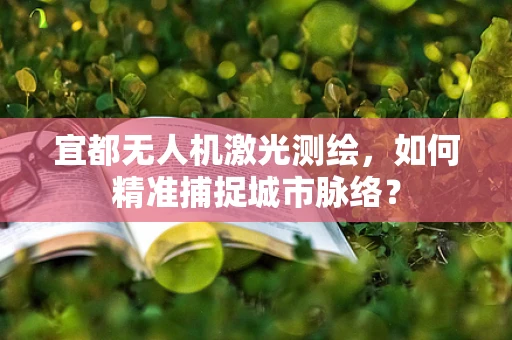 宜都无人机激光测绘，如何精准捕捉城市脉络？