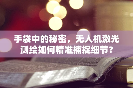 手袋中的秘密，无人机激光测绘如何精准捕捉细节？