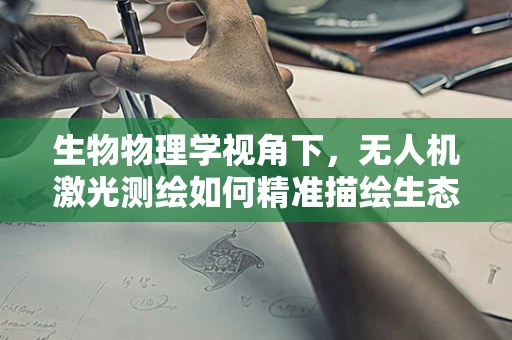 生物物理学视角下，无人机激光测绘如何精准描绘生态多样性？