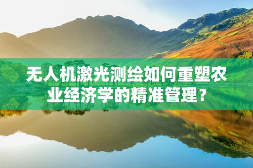 无人机激光测绘如何重塑农业经济学的精准管理？