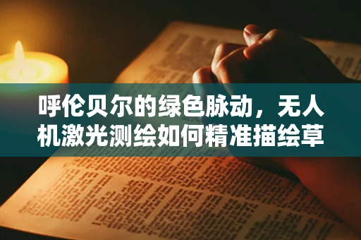 呼伦贝尔的绿色脉动，无人机激光测绘如何精准描绘草原生态？