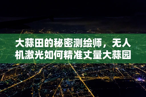 大蒜田的秘密测绘师，无人机激光如何精准丈量大蒜园？