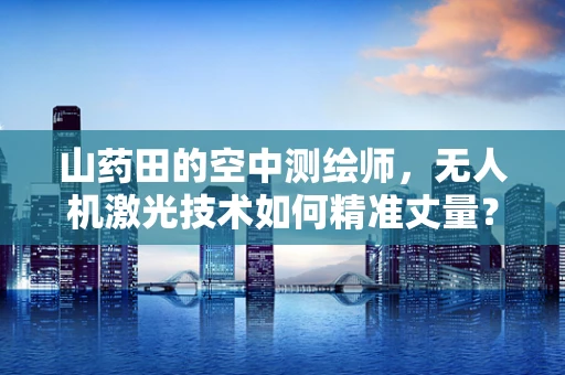 山药田的空中测绘师，无人机激光技术如何精准丈量？