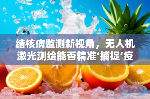 结核病监测新视角，无人机激光测绘能否精准‘捕捉’疫情踪迹？
