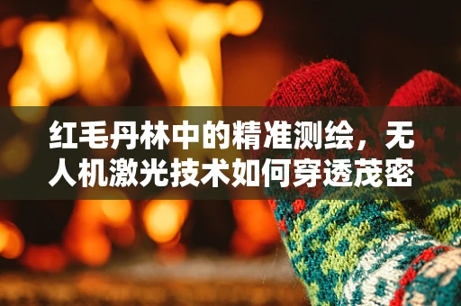 红毛丹林中的精准测绘，无人机激光技术如何穿透茂密植被？