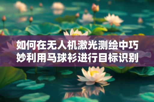 如何在无人机激光测绘中巧妙利用马球衫进行目标识别？