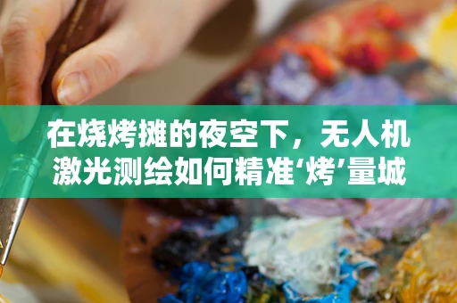 在烧烤摊的夜空下，无人机激光测绘如何精准‘烤’量城市轮廓？