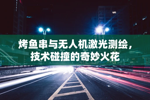 烤鱼串与无人机激光测绘，技术碰撞的奇妙火花