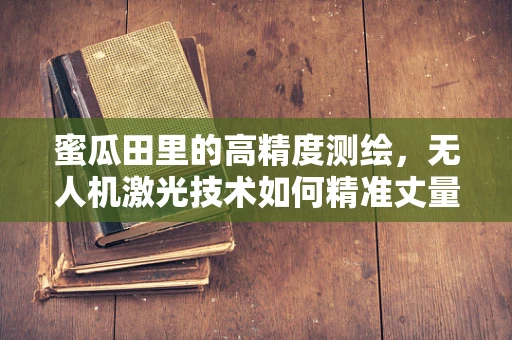 蜜瓜田里的高精度测绘，无人机激光技术如何精准丈量？