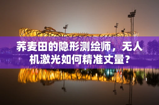 荞麦田的隐形测绘师，无人机激光如何精准丈量？
