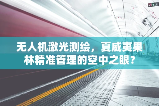 无人机激光测绘，夏威夷果林精准管理的空中之眼？