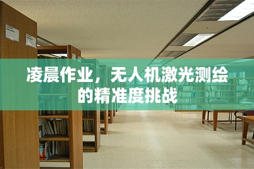 凌晨作业，无人机激光测绘的精准度挑战