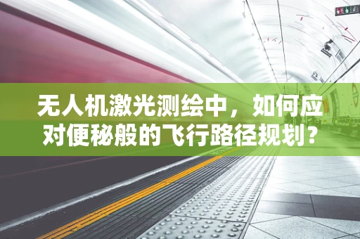 无人机激光测绘中，如何应对便秘般的飞行路径规划？