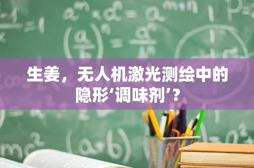 生姜，无人机激光测绘中的隐形‘调味剂’？