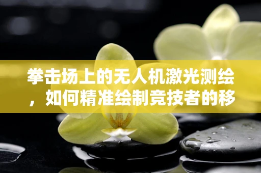拳击场上的无人机激光测绘，如何精准绘制竞技者的移动轨迹？