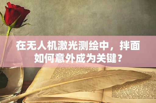 在无人机激光测绘中，拌面如何意外成为关键？