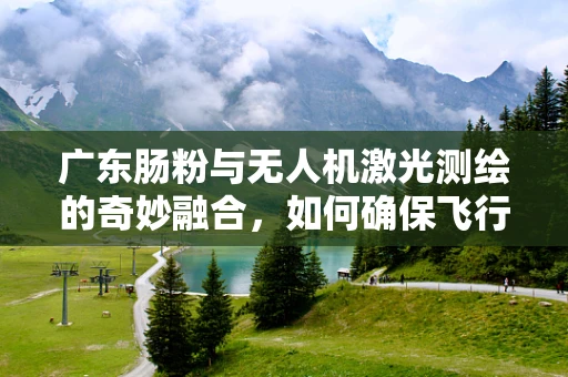 广东肠粉与无人机激光测绘的奇妙融合，如何确保飞行中的精准定位？